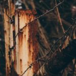 金沙平台大厅运营数据分析与服务流程优化实务研究 jhynbbdzcd