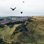 金沙平台的品牌故事与市场定位分析 mwk8k5pod4